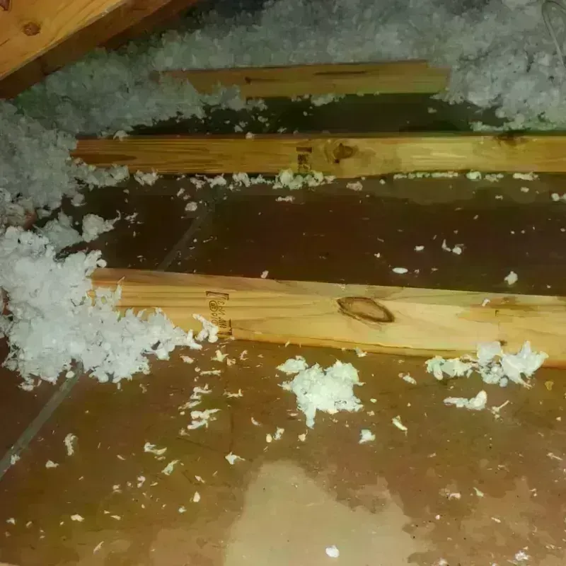 Attic Water Damage in Salida, CO